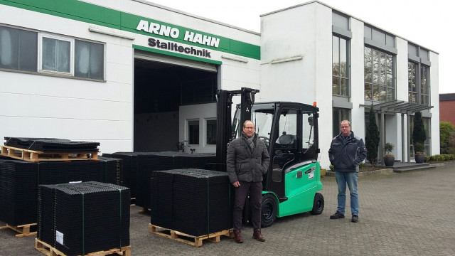 Das beste Pferd im Stall